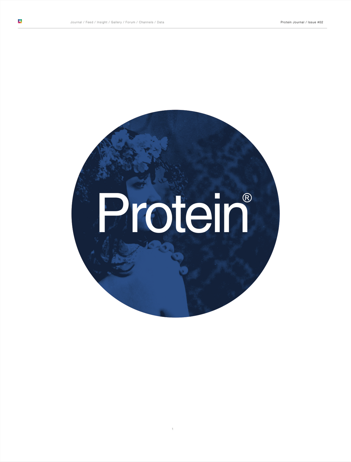 PROTEIN JOURNAL #2
