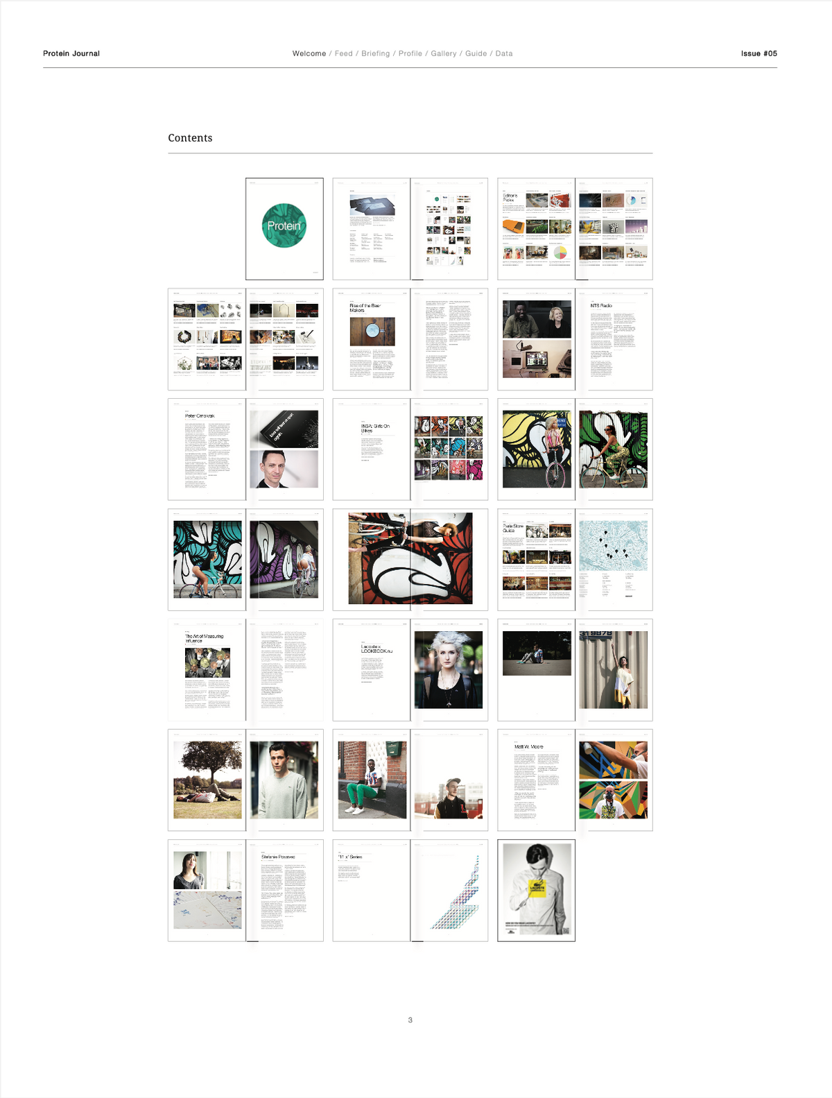 PROTEIN JOURNAL #5