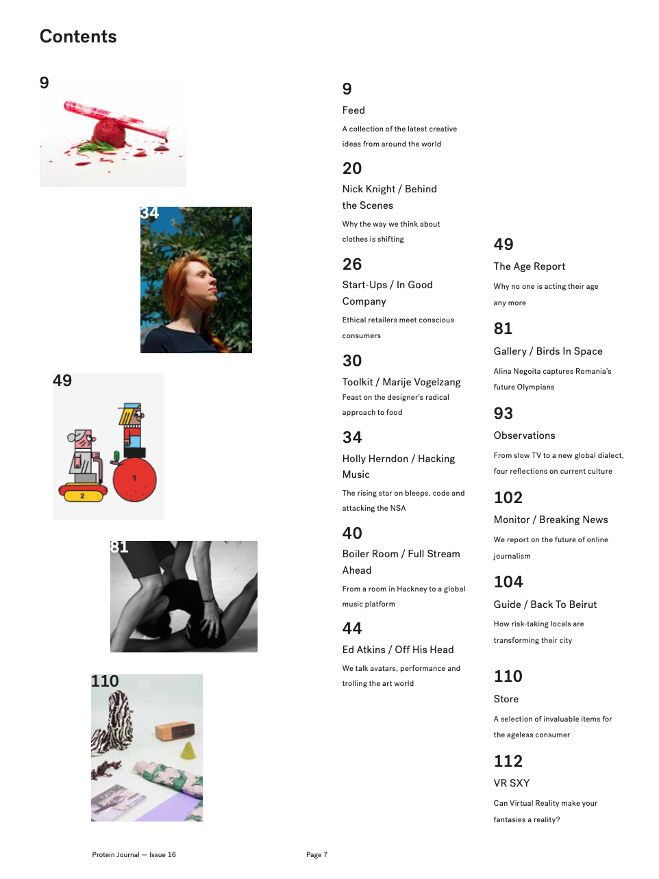 PROTEIN JOURNAL #16 [HOLLY HERNDON]