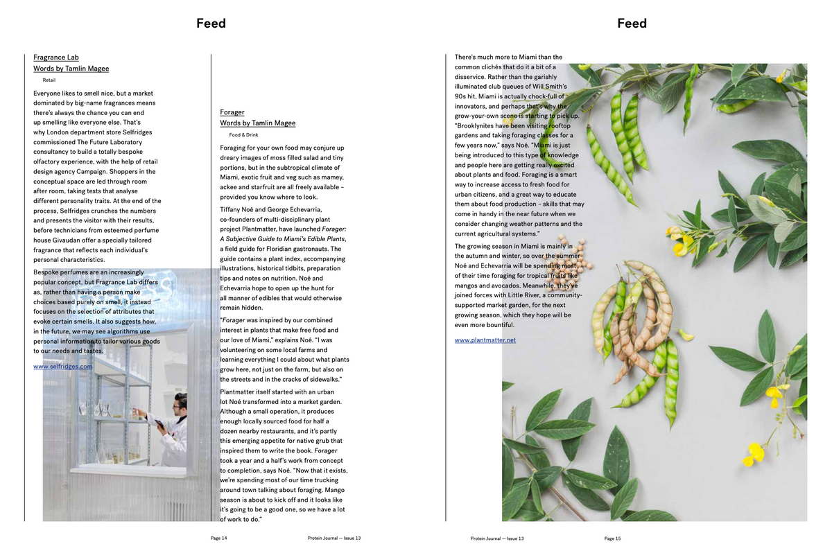 PROTEIN JOURNAL #13 [MATT PYKE]