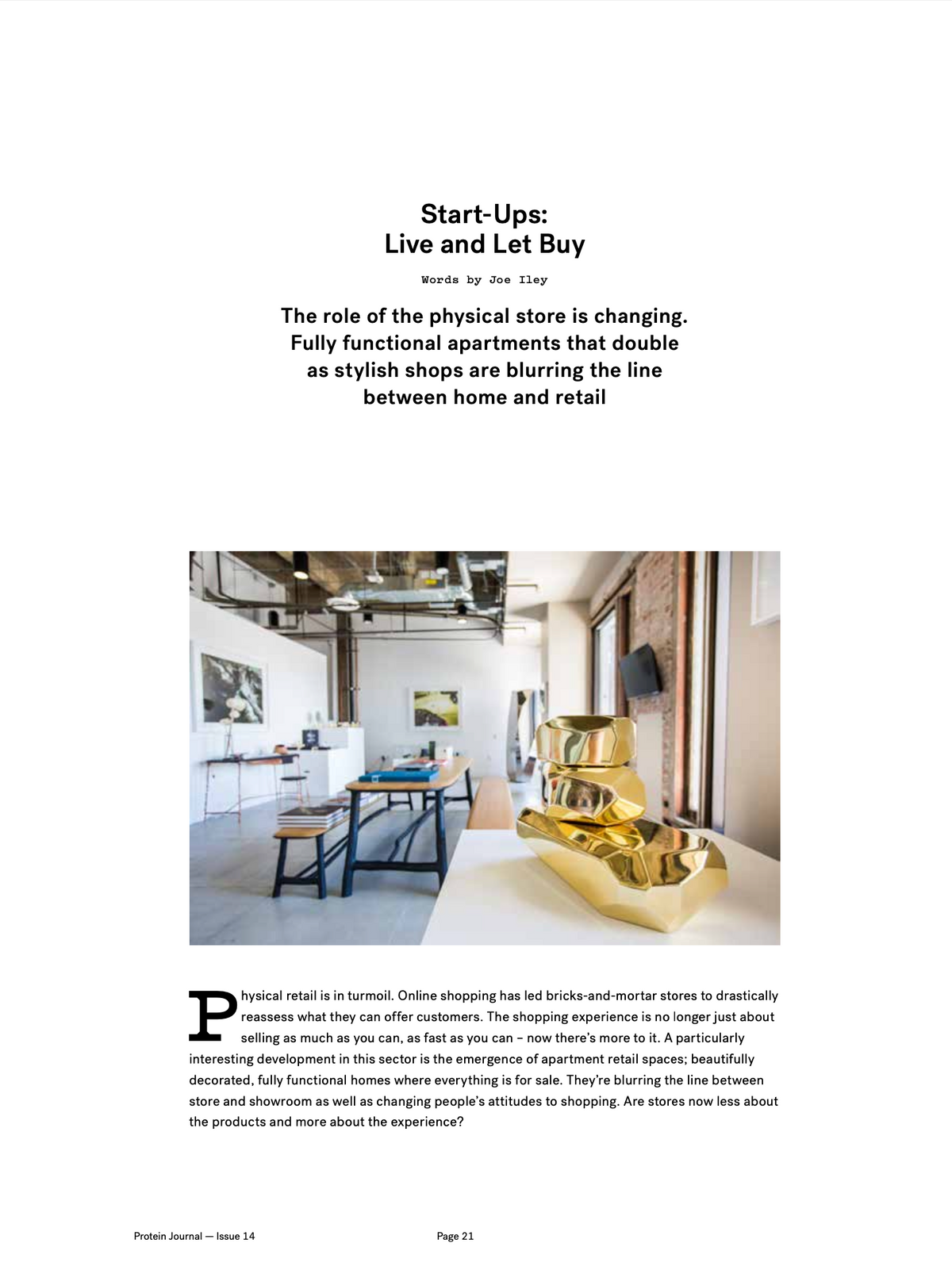 PROTEIN JOURNAL #14 [TELFAR]