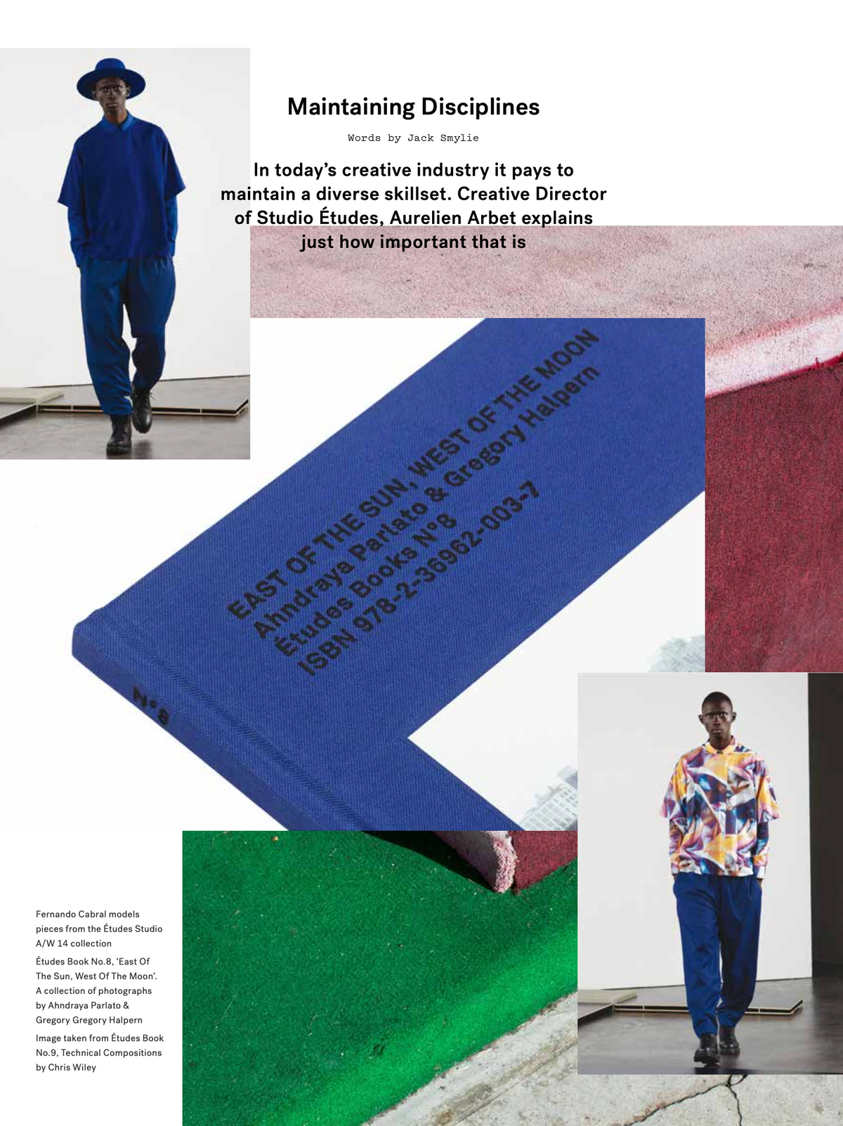 PROTEIN JOURNAL #14 [TELFAR]